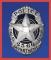 DallasCop2566