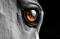 EQUUS62