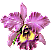 Gail69