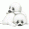Linda_T