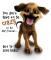 Lovemydogs