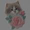 MissKitty50