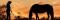 arabhorse