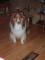 arlene_french