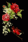 bunnyrose