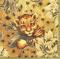 cheetahmom