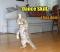 ginaballerina