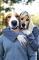 imahounddog