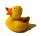 rubberduck1956